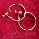 Twin Ring Drop Earrings