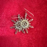 Spiky Round Earrings 1050