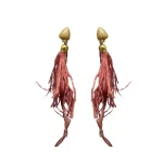 Brown Earring 7028