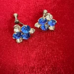 Blue Earrings 8025