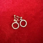 Diamond Circle Hoop Earrings