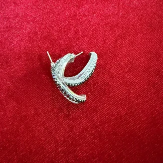 Feathered Wing Wrap Earrings