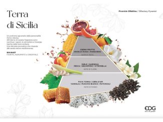 550266 - 300ml 550266TS - 2