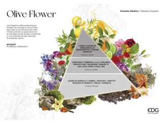 550299 - 230ml 550299,OL0 - 5