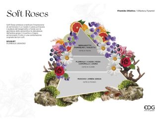 550299 - 230ml 550299,SR - 4