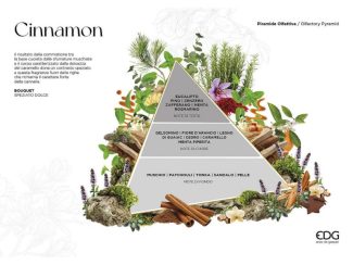 550315-16 550315CR - 2