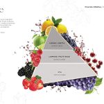 REFILLS VINO 711810VN - 2