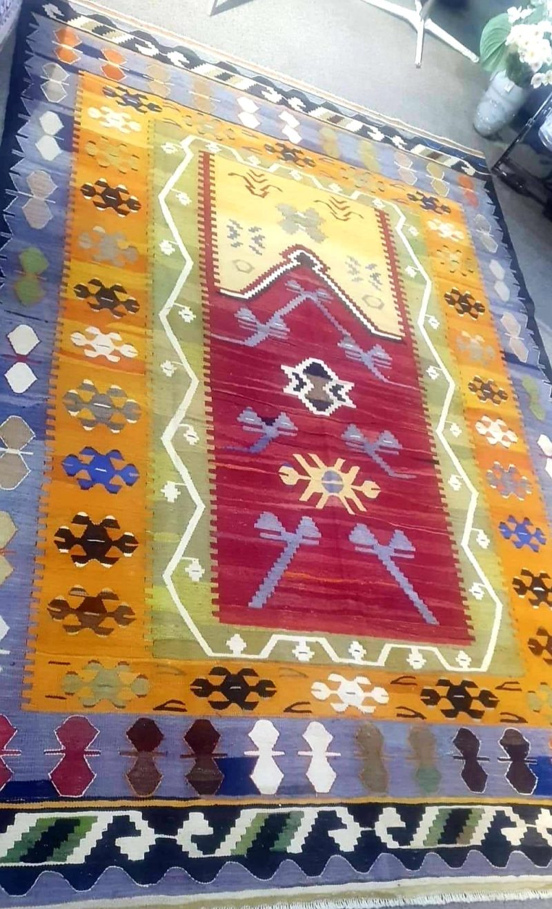 485065055_9737467346337616_7173041815957189541_n